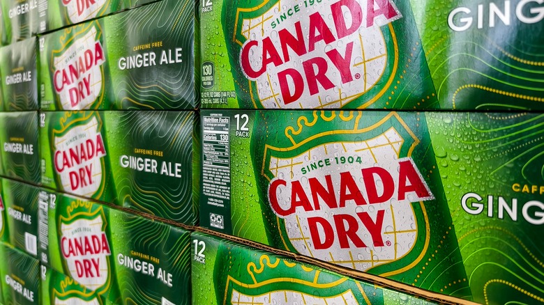 Boxes of Canada dry ginger ale