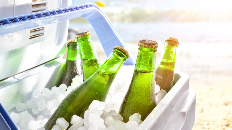 Beer bottled in green glass inside a cooler