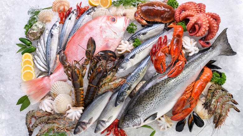 A variety of fish and shellfish sitting atop a bed of ice