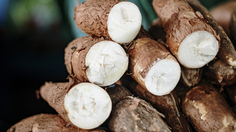 Sliced cassava roots