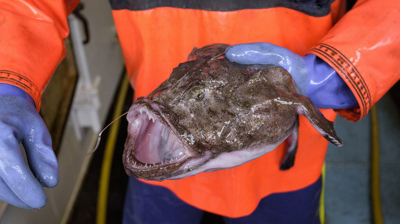 man holding anglerfish