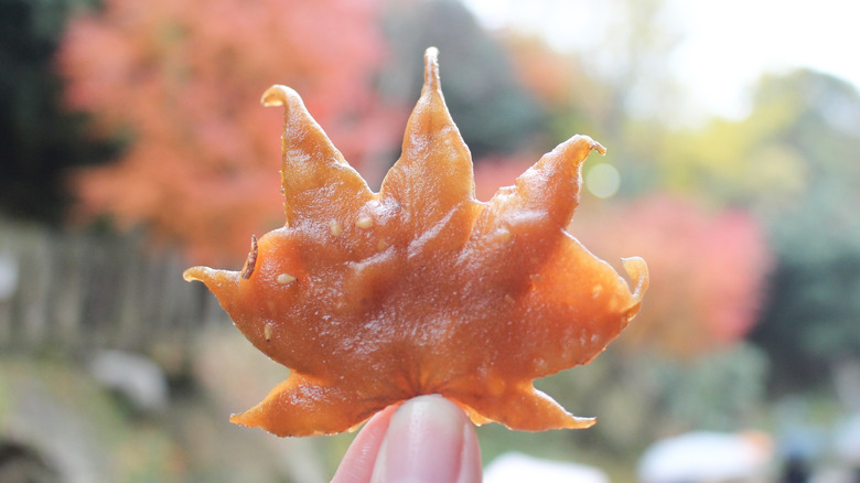 A single fried maple leaf, held up against an autumnal background