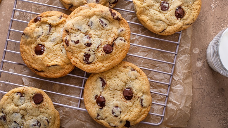 Fresh chocolate chip cookies