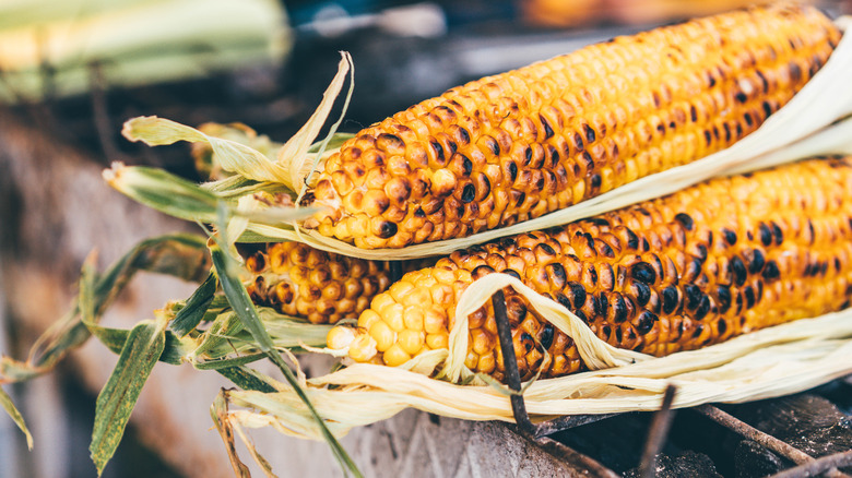 Grilled corn on the cob