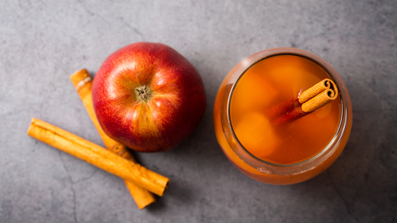 a glass of apple cider with cinnamon next to an apple