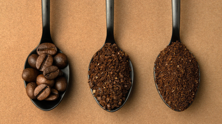 whole bean, coarse ground, and fine ground coffee in spoons