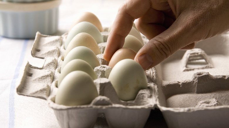 Hand grabbing an egg from a carton