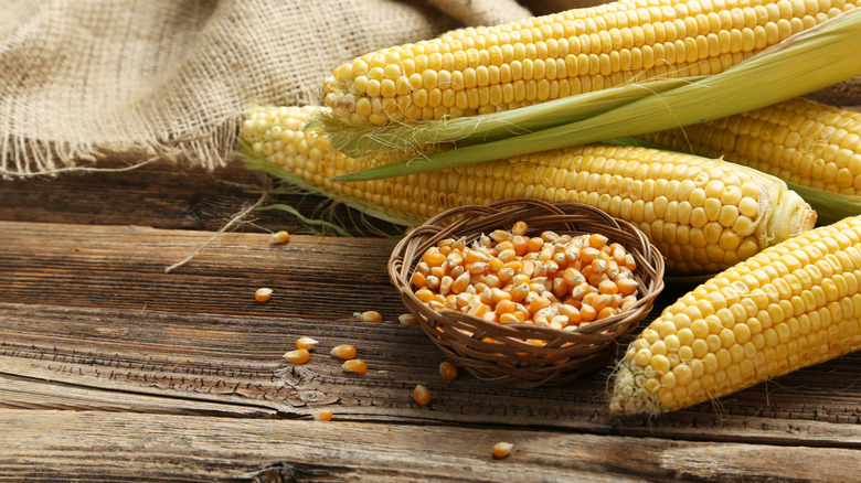 Popcorn kernels in a basket arranged with corn on the cob on a rustic wooden board.