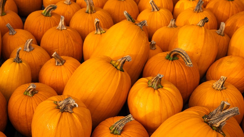 Pumpkins