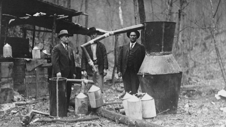 moonshine plant shown in Kentucky