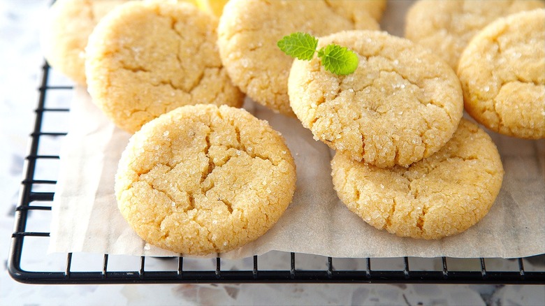 Sugar cookies on a piece of parchment paper over a metal wire rack