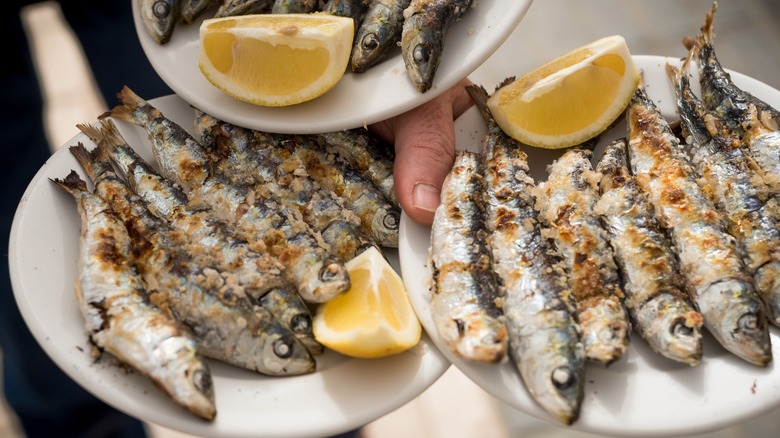 Fresh sardines on a white plate