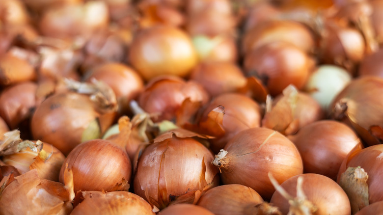 many onions in a bin