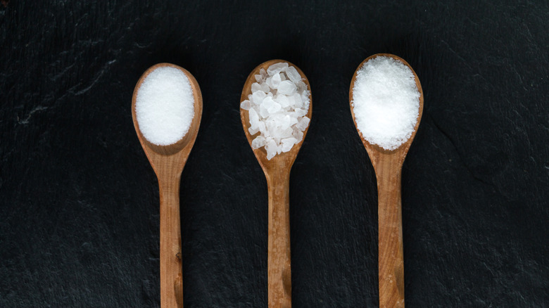 Different types of salt on spoons