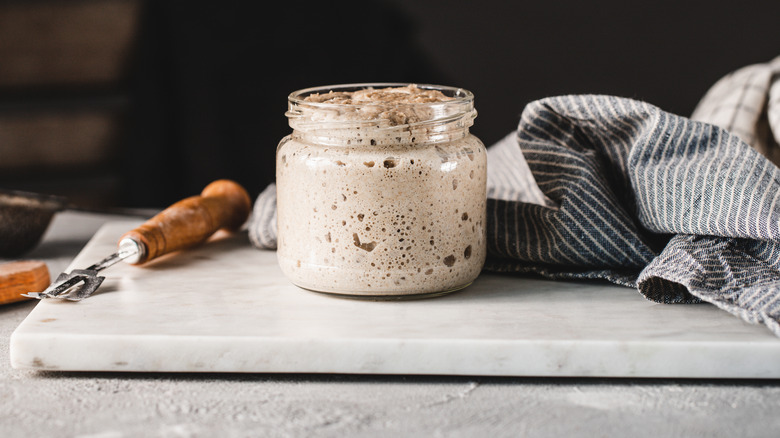 Sourdough starter in jar on the counter