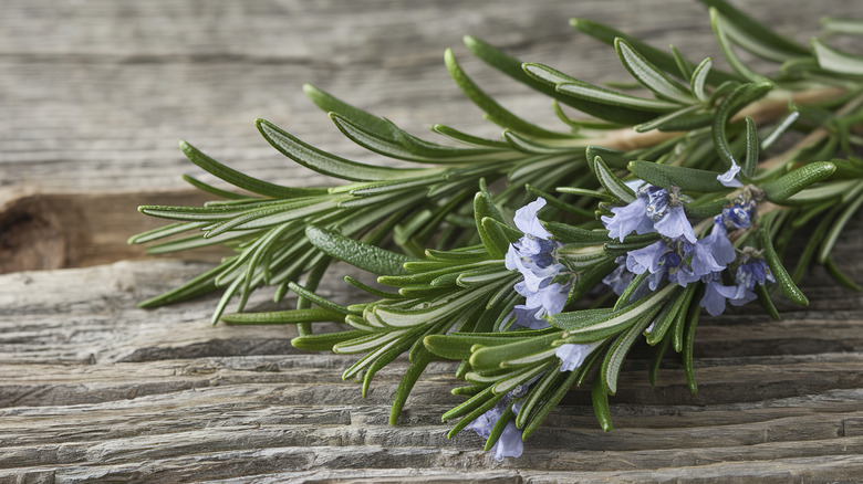 fresh rosemary sprigs and flowers on board