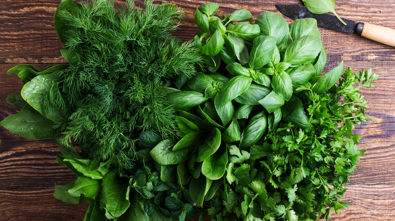 fresh herbs laid on cutting board