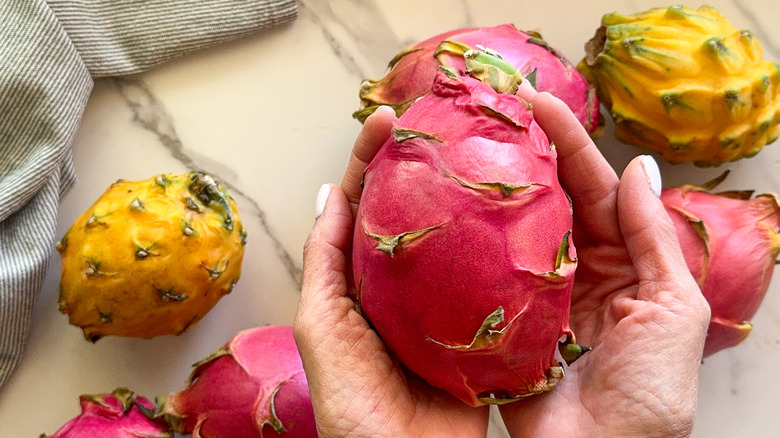 hands holding pink dragon fruit