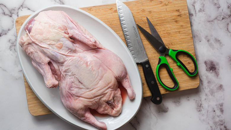 Duck with cutting board, poultry shears and chef's knife