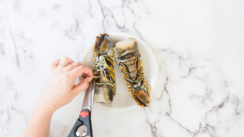 Shears cutting lobster tail legs