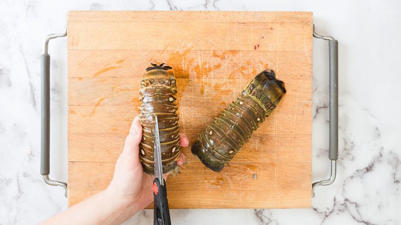 Shears cutting lobster shell