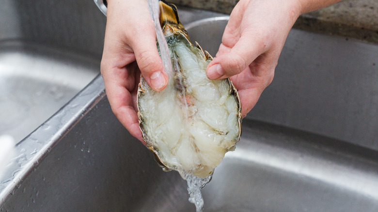 Rinsing lobster tail in sink