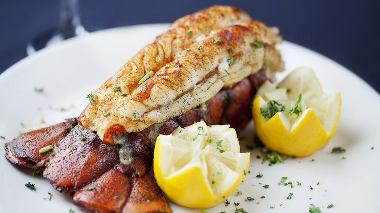 Piggybacked lobster tail on plate