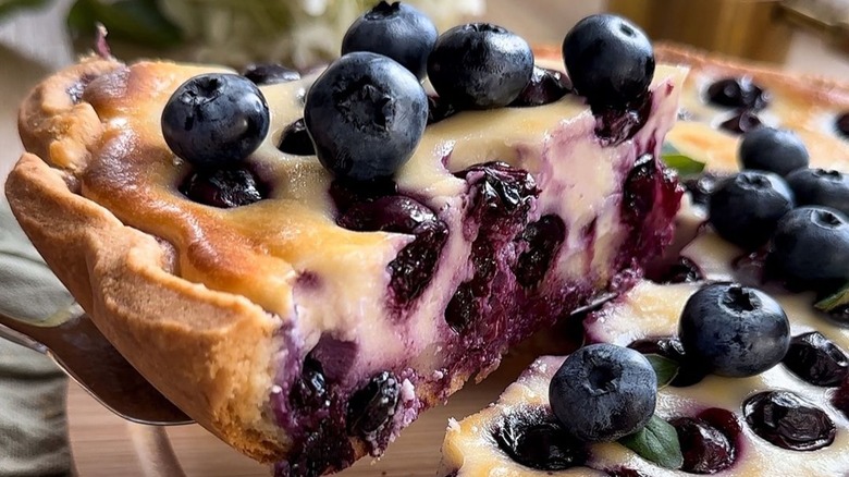 Blueberry cheesecake slice