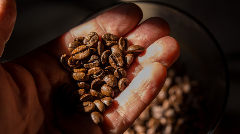 Handful of roasted coffee beans