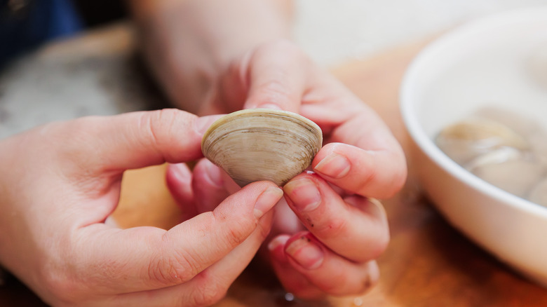 Hands holding clams