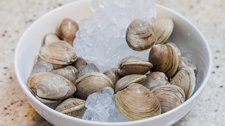 clams in bowl with ice