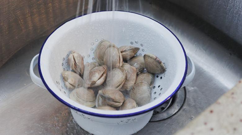 Clams rinsing under water