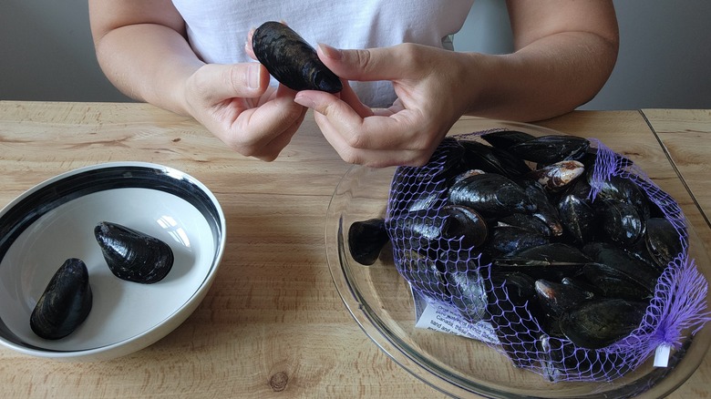 hands sorting mussels into dishes