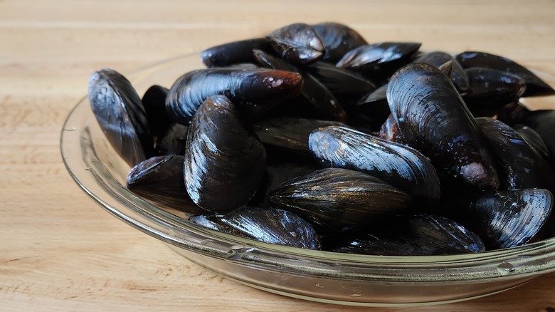 cleaned mussels in clear dish