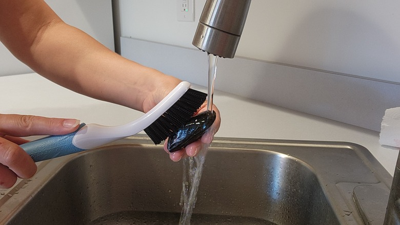 brushing mussel under running tap