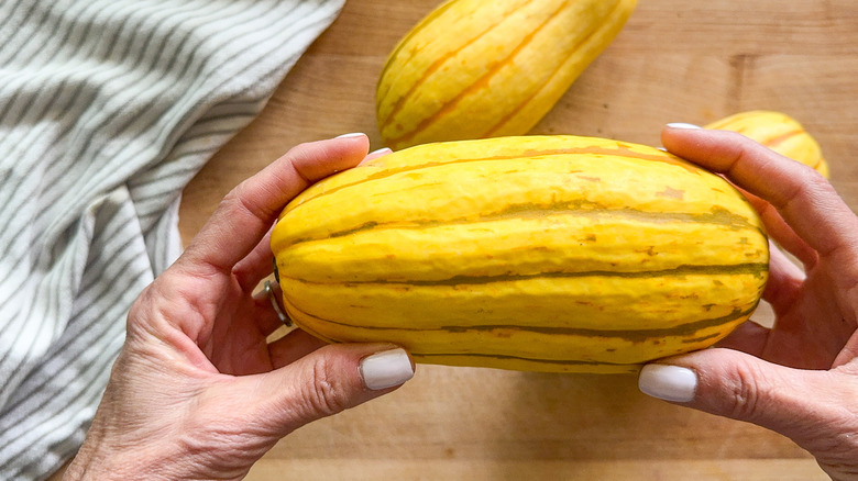 hands holding a delicata squash