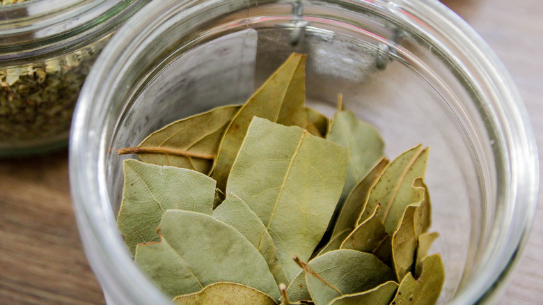 Bay leaves in jar