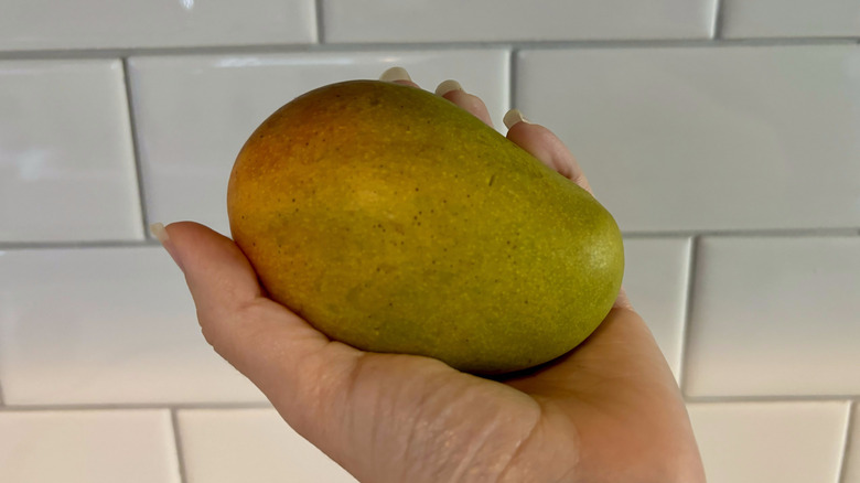 hand holding mango