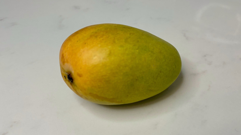 Mango on counter