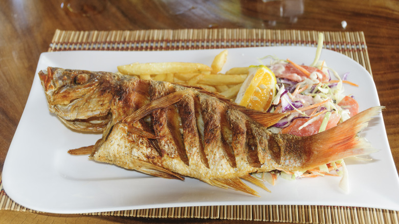 grilled red snapper