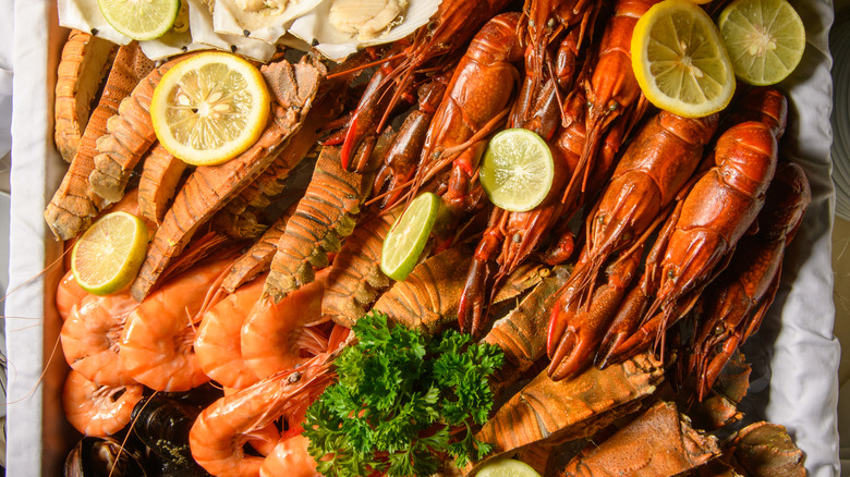 Seafood platter in shells