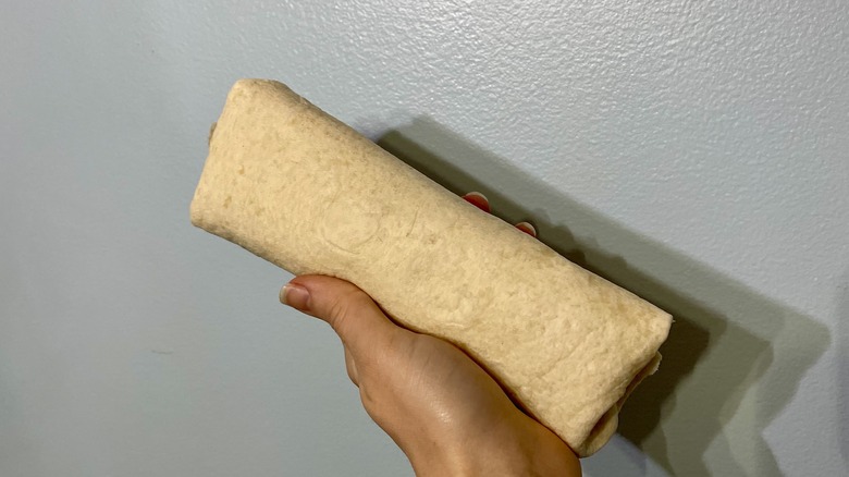 Hand holding burrito