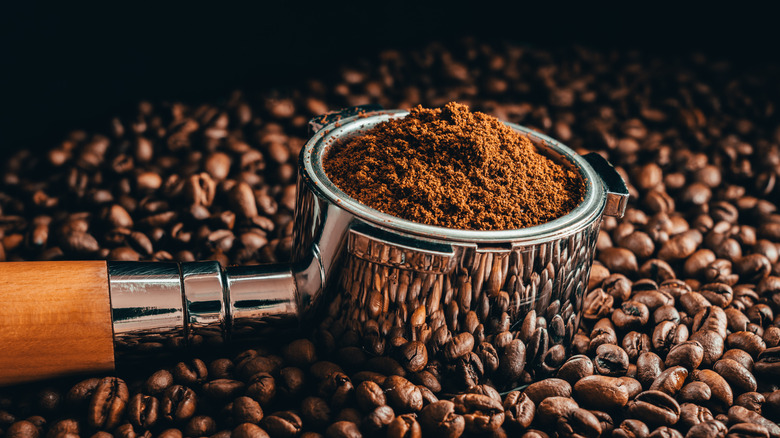 espresso tamp displayed with beans