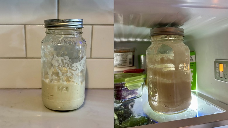 Sourdough starter on couch and in fridge