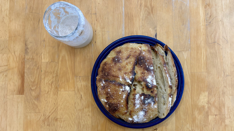 Sourdough bread and sourdough starter