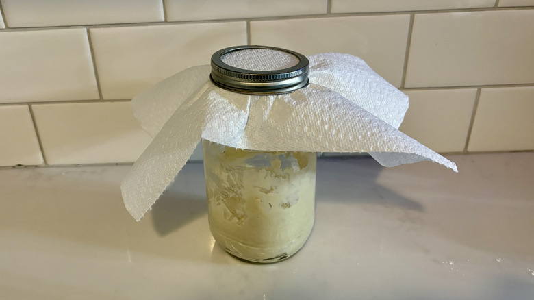 Paper towel-covered sour dough