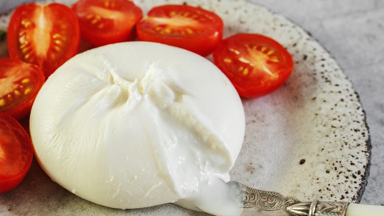 Fresh burrata with tomatoes