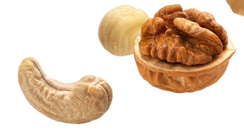 Macadamia nut and cashew