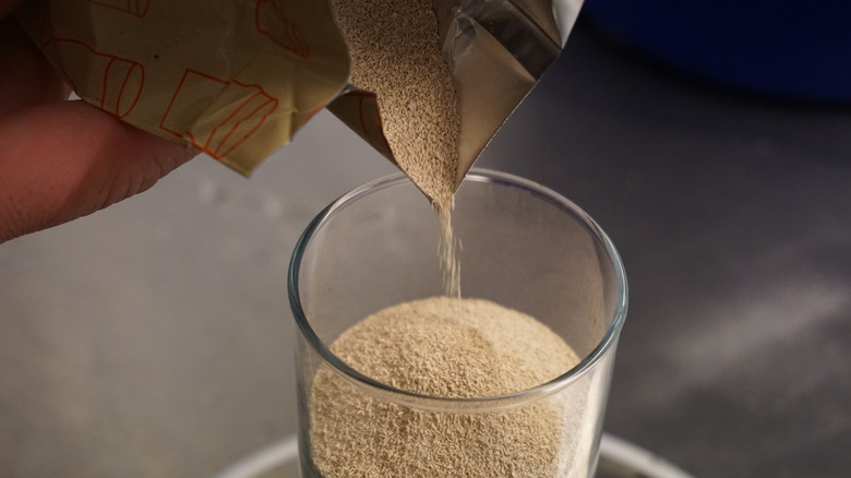 Yeast poured in cup on scale