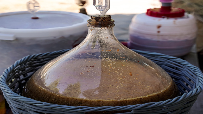 Group of fermenters with airlocks